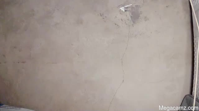 Xxladydreamcatcherxx